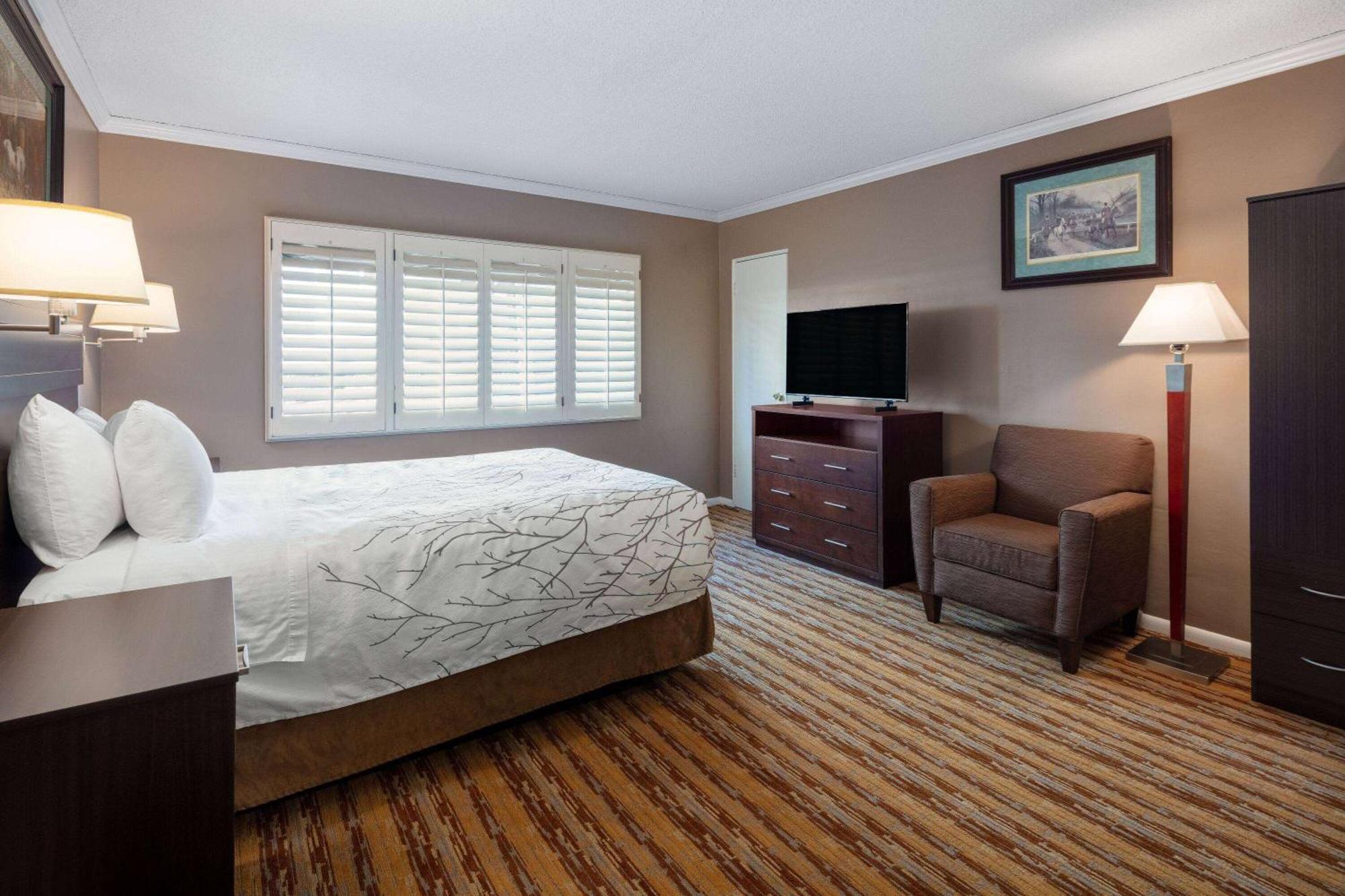 King Room with City View - Non-Smoking