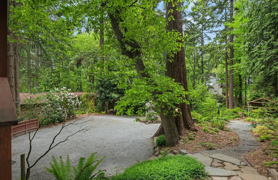 4Br With Firepit, Outdoor Dining And Yard Surrounded By Trees-1